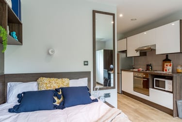 Premium Studio at Cricket Field Court, Prince of Wales Road, University Of Exeter, Exeter, EX44FU - Image 1